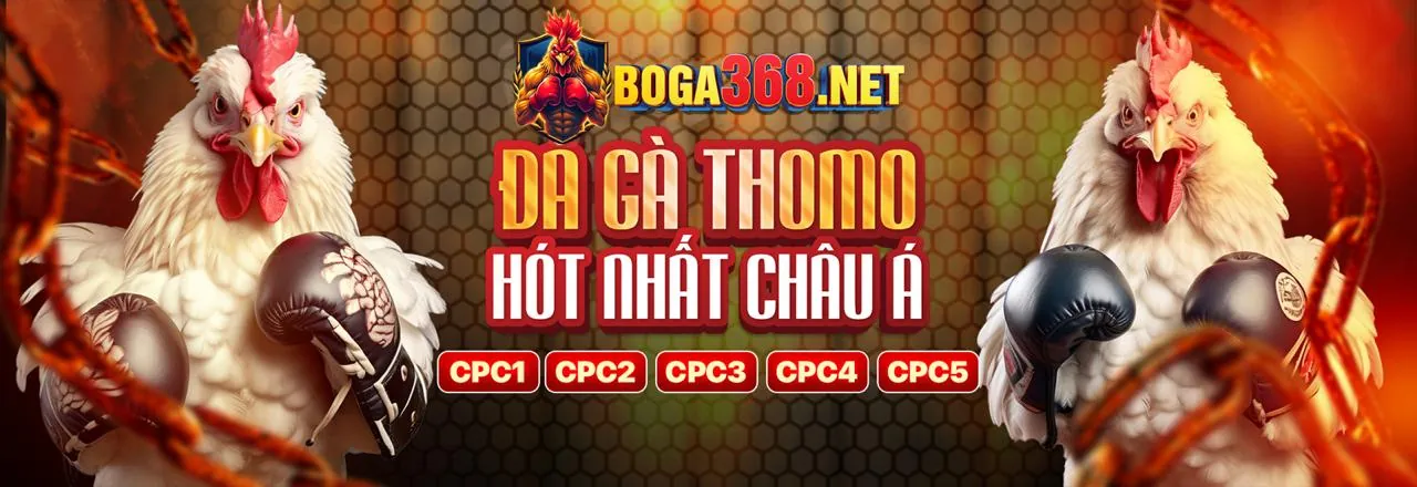 Hình ảnh chính về các trò chơi xổ số tại lucky 8 trang chủ chính thức
